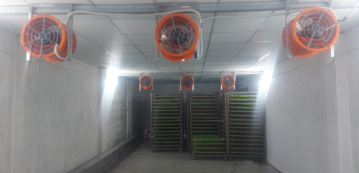 Sấy Dược Liệu