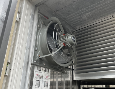 Sấy Ớt Dạng Container Đăk Lăk
