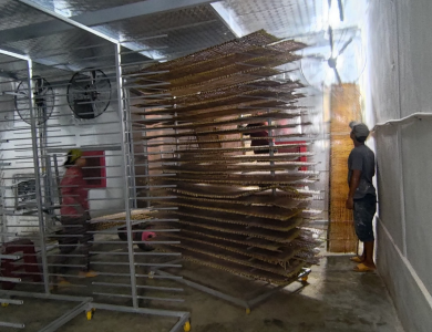 Sấy Bánh Tráng Bình Định
