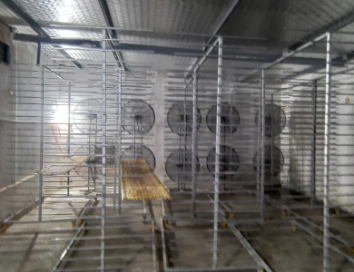 Sấy Bánh Tráng Bình Định