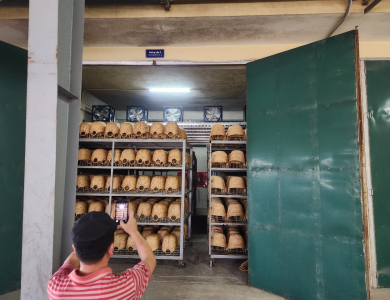 Sấy Mây Tre Đan