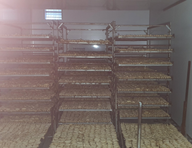 Phòng sấy chuối Cà Mau