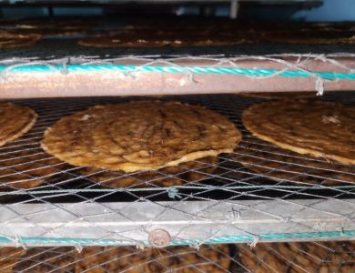 Phòng sấy chuối Cà Mau